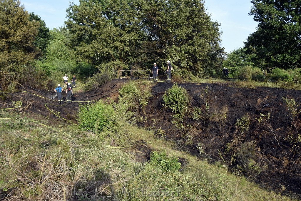 Waldbrand Koeln Hoehenhaus Hoehenfelder Mauspfad P125.JPG - Miklos Laubert